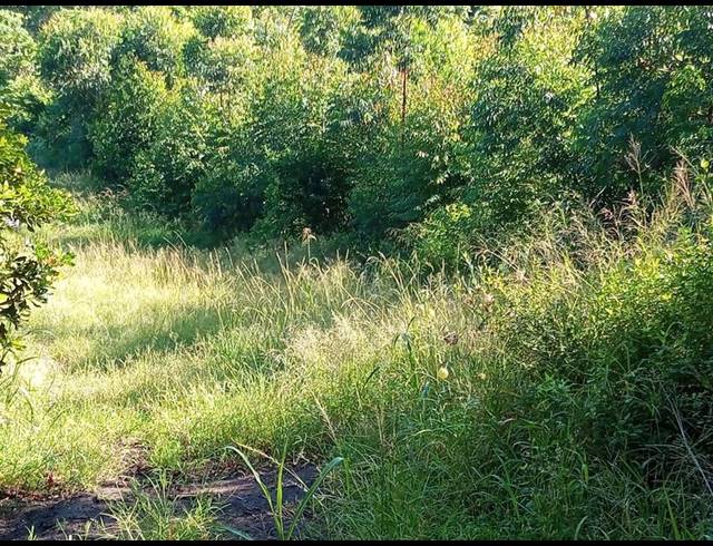 FARM FOR SALE IN RAMSGATE